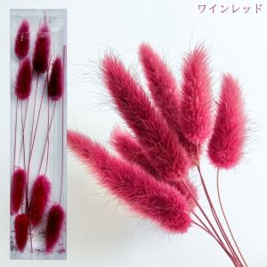 ハーバリウム 花材 ラグラス ブリザーブドフラ...の詳細画像4
