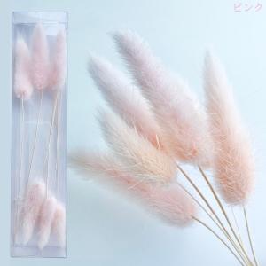 ハーバリウム 花材 ラグラス ブリザーブドフラ...の詳細画像5