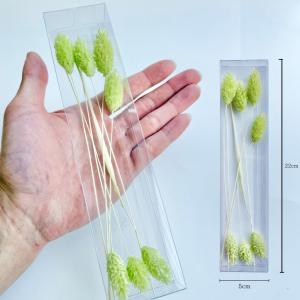 ハーバリウム 花材 ポアプランツ ブリザーブド...の詳細画像1