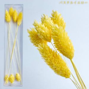 ハーバリウム 花材 ポアプランツ ブリザーブド...の詳細画像4