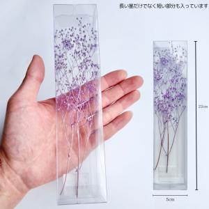 ハーバリウム 花材 カスミ草 ブリザーブドフラ...の詳細画像1