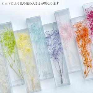 ハーバリウム 花材 カスミ草 ブリザーブドフラ...の詳細画像2