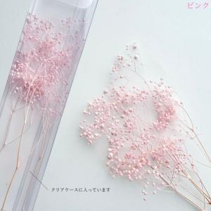 ハーバリウム 花材 カスミ草 ブリザーブドフラ...の詳細画像4