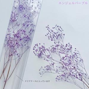 ハーバリウム 花材 カスミ草 ブリザーブドフラ...の詳細画像5