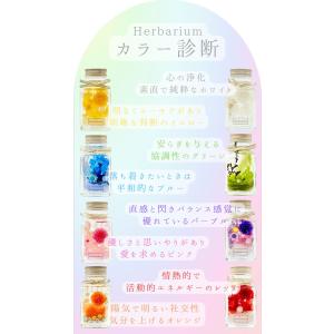 ハーバリウムキット 2本入り 初心者にも簡単に...の詳細画像2