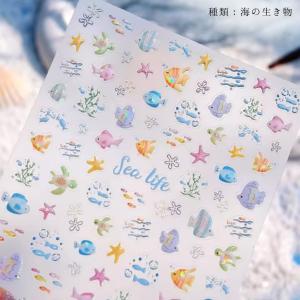 デコレーションシール 海の生き物 魚 フィッシ...の詳細画像4