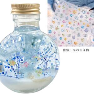 デコレーションシール 海の生き物 魚 フィッシ...の詳細画像5