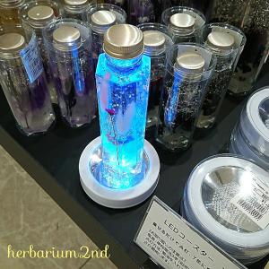 ハーバリウム LEDコースター ホワイトの詳細画像4