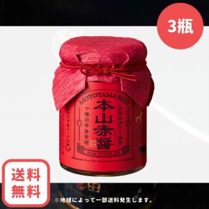 四陸  万能調味料 本山赤醤 100g×3本 ちゃちゃ入れマンデー
