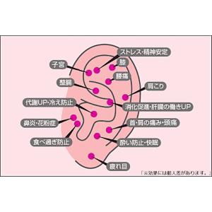 レビュー投稿で専用ポーチプレゼント 耳つぼ棒 ...の詳細画像3