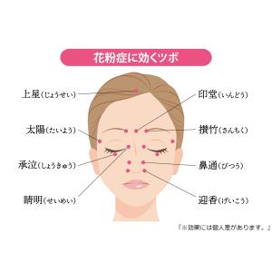 レビュー投稿で専用ポーチプレゼント 耳つぼ棒 ...の詳細画像4