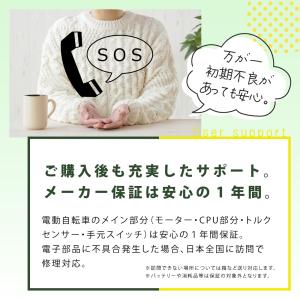 電動アシスト自転車 PELTECH ペルテック...の詳細画像5