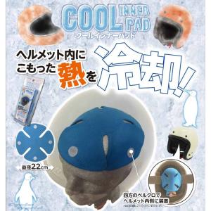 〔ダムトラックス〕クールインナーパッド ヘルメット