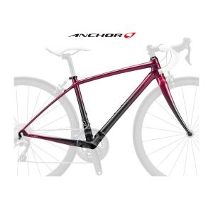 ブリヂストン アンカー 21’RL8W 女性用ロードフレームセット