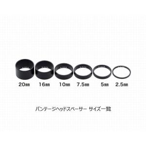 (ネコポス対象商品)ディズナ バンテージ 1-...の詳細画像4