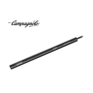 (特セール)カンパニョーロ(CAMPAGNOLO) EPS V4 パワーユニット 12S用 PU19...