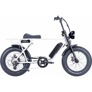 BRONX Buggy20 ブロンクスバギー シェイドオブペール 電動アシスト