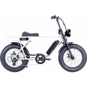 (春トクSALE)(店舗受取送料割引) ブロンクス（BRONX）BUGGY 20 ポリッシュ 電動アシスト自転車 E-BIKE 大型ライト付