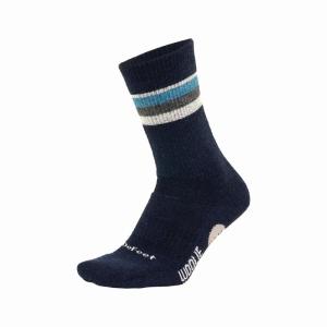 (春トクSALE)ディフィート（DeFeet）　WB 6” Compass　Navy　ソックス｜cycle-yoshida