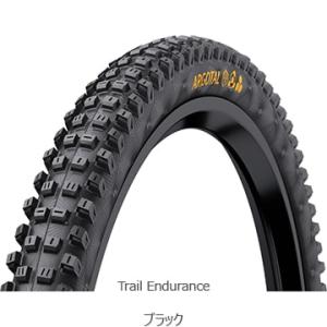 特セール)ソーヨータイヤ（SOYO TYRE） 30A-III ゴールドチャンピオン