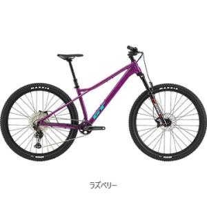 GT 2025 GT ZASKAR LT PRO ザスカー LT アロイ プロ 29インチ