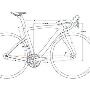 (特セール)(配送不可:店頭受取のみ)PINA...の詳細画像4