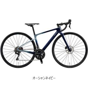 (特セール)(店舗受取送料割引)ブリヂストン アンカー（BRIDGESTONE ANCHOR）　26...