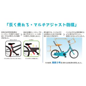 TOP ケッターサイクル3 子ども用自転車 1...の詳細画像2