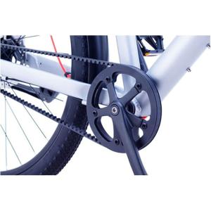 「地域限定商品」「サカイサイクル」チャーリーワ...の詳細画像3