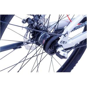 「地域限定商品」「サカイサイクル」チャーリーワ...の詳細画像4