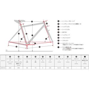 「SALE」「コーダーブルーム」「ネット通販限...の詳細画像2
