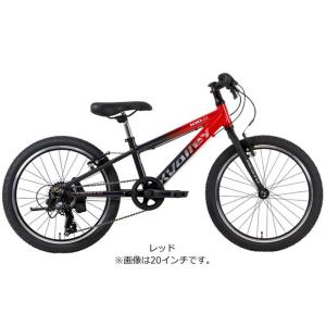 「地域限定商品」「ネスト」クロスバレーキッド2...の詳細画像1