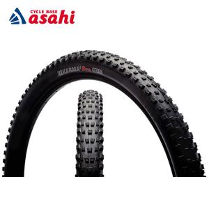 ケンタ MF8/橘田 健人選手 | 選手・スタッフプロフィール2024 : KAWASAKI FRONTALE