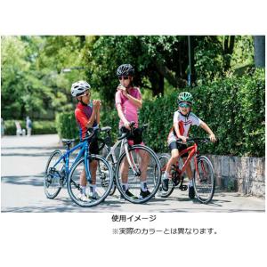 「フジ」ACE 650(エース650)650C...の詳細画像3