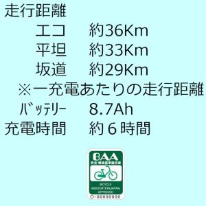 「地域限定商品」「丸石」ペーブメントアシスト「...の詳細画像1