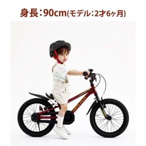 「アイデス」D-Bike MASTER FIT...の詳細画像2
