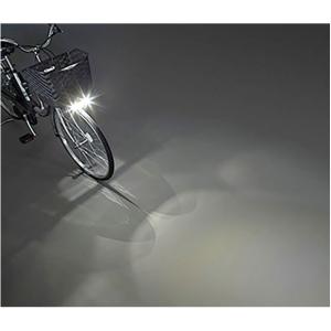 3/15はストアポイント2倍「パナソニック」ビ...の詳細画像3