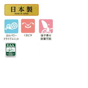 「東日本限定」「パナソニック」ティモ・L「BE...の詳細画像2