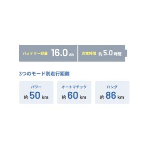「パナソニック」ギュット・アニーズ・DX「BE...の詳細画像2