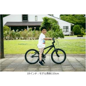 「SALE」「西日本限定」「マリン」「ネット通...の詳細画像2