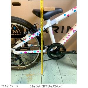 「マリン」DONKY JR 22 LTD(ドン...の詳細画像3