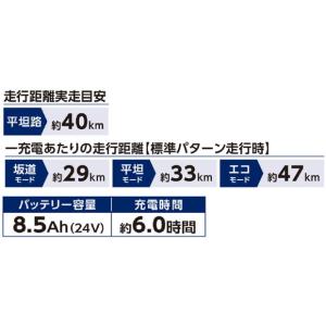 「地域限定商品」「丸石」ビューアシスト「ASL...の詳細画像5