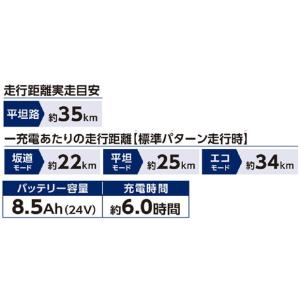「地域限定商品」「丸石」ビューピッコリーノ「A...の詳細画像5