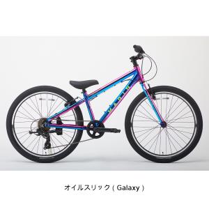 マリン MARIN DONKY JR24 Li...の詳細画像4