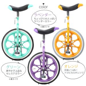 PT5倍中 一輪車 16/18インチ 選べるデ...の詳細画像2