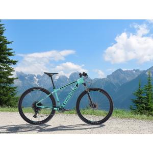 BIANCHI MAGMA 9.1 38cm ...の詳細画像1