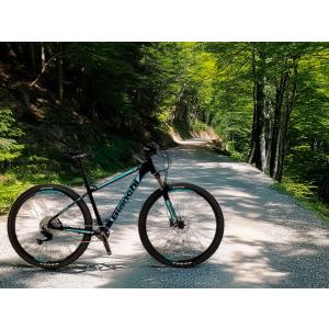 BIANCHI MAGMA 9.1 38cm ...の詳細画像2