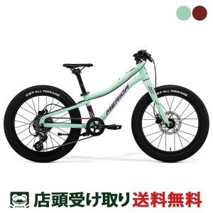 店頭受取限定 メリダ MERIDA MATTS J. 20+ マッツ J. 20+ 2025 キッズ 子供用 自転車 スポーツ 20インチ 5歳〜9歳 7段変速 [25 MATTS J.20+]