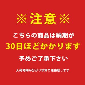 【アウトレット1点限り】MTB マウンテンバイ...の詳細画像4