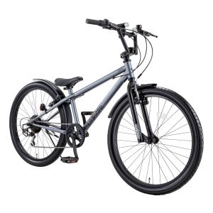 Dバイク D-Bike D-Bike BMXS...の詳細画像3
